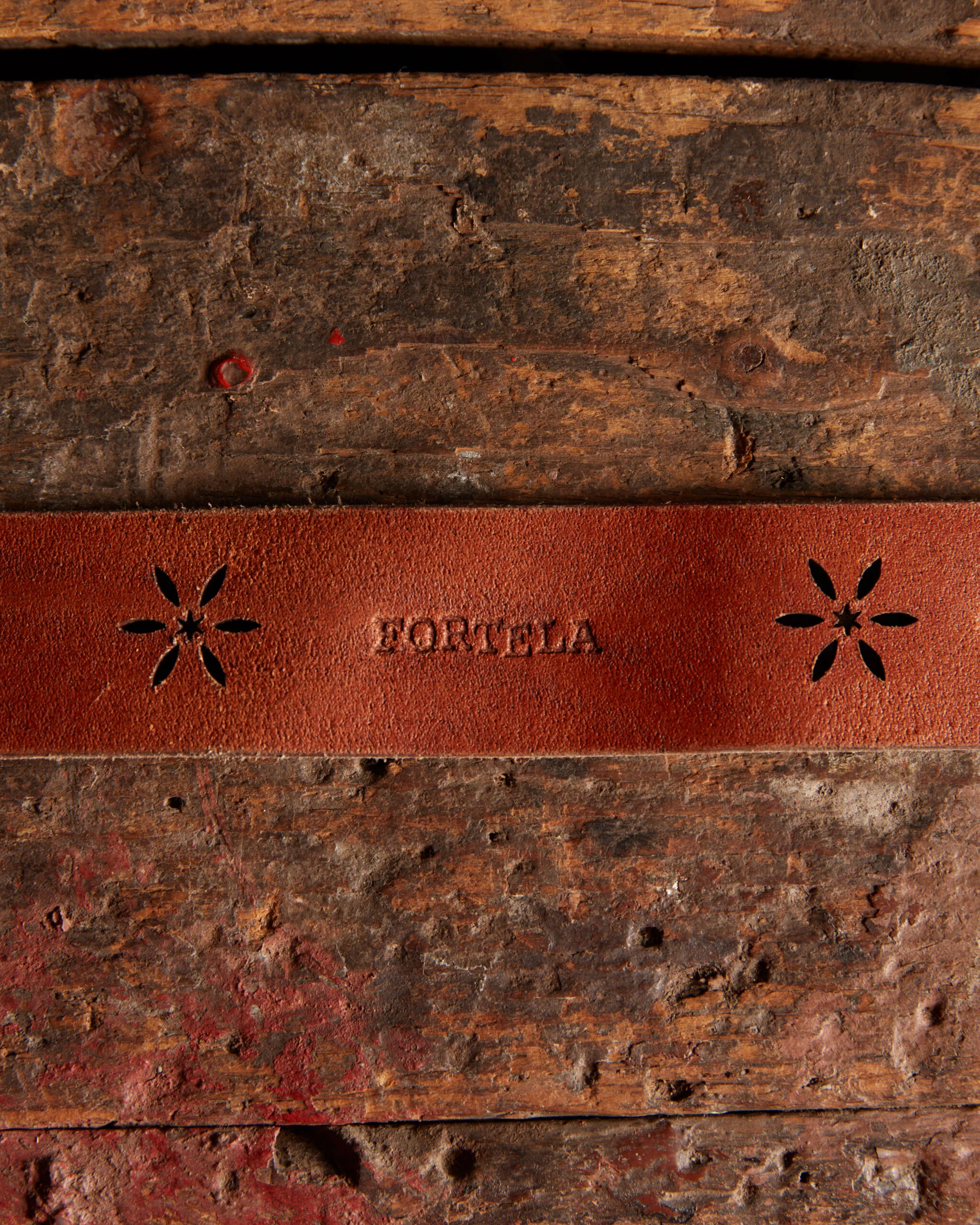 Tara Cintura In Pelle - Image 4